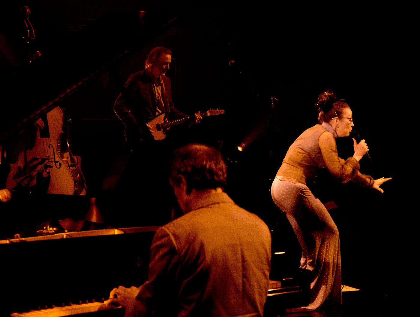 Tour Holly Cole